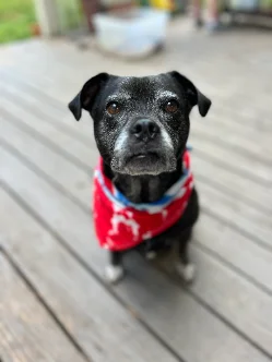 A photo of Molly